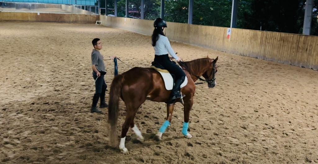 初次馬術體驗課程(適合8歲以下.65歲以上第一次騎上馬背的人)
